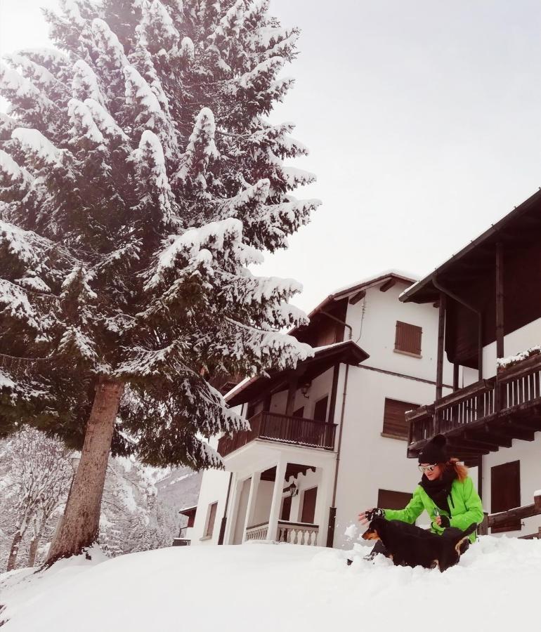 Elison-On The Lake B&B Sauris Extérieur photo